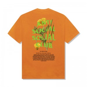 Orange Anti Social Social Club Poppy Tee | ASSC-11956